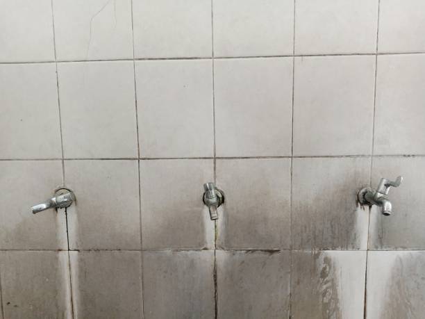 Best Water damage cleanup near me  in Hampstead, MD